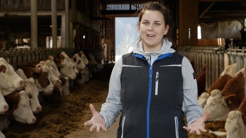 Berufsinfo-Video - AMS Video: Tierärztin / Tierarzt